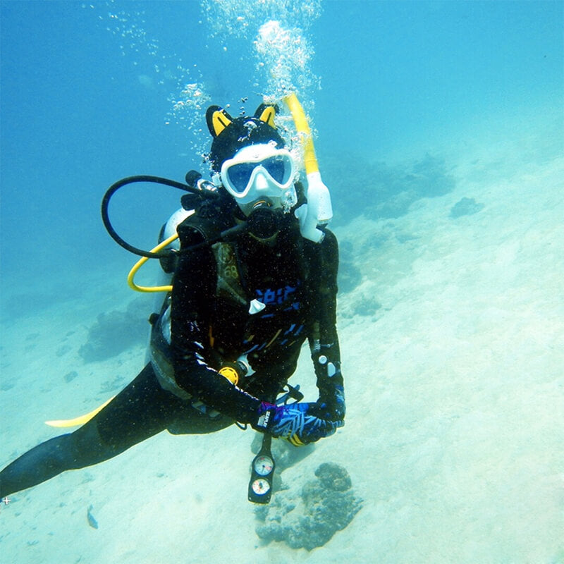 3mm Cartoon Cat Wetsuit Hood Kitty Scuba Diving Hood Surfing | HYDRONE