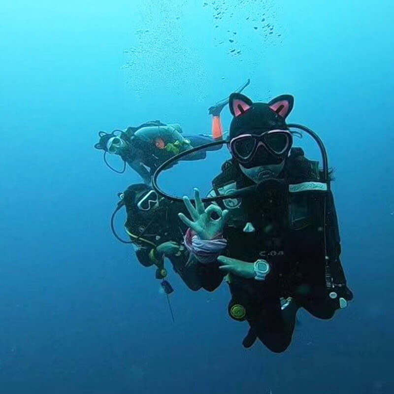 3mm Cartoon Cat Wetsuit Hood Kitty Scuba Diving Hood Surfing | HYDRONE